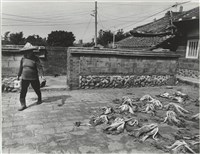 藏品(《再訪農村》系列5)的圖片