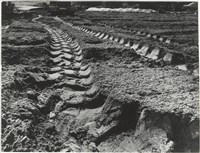 藏品(再訪農村系列12)的圖片