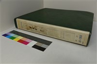 藏品(水褲頭相簿（二）)的圖片