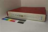 藏品(汗流脈絡相簿)的圖片