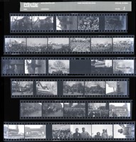 藏品(吳紹同135底片1)的圖片