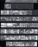 藏品(吳紹同135底片13)的圖片