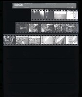 藏品(吳紹同135底片15)的圖片