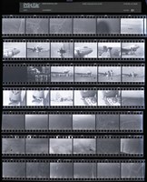 藏品(吳紹同135底片21)的圖片