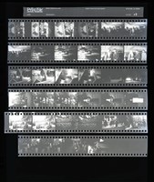 藏品(吳紹同135底片28)的圖片