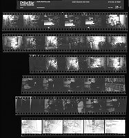 藏品(吳紹同135底片37)的圖片