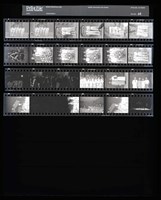 藏品(吳紹同135底片44)的圖片