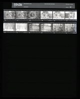 藏品(吳紹同135底片45)的圖片