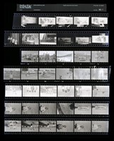 藏品(吳紹同135底片46)的圖片