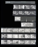 藏品(吳紹同135底片47)的圖片