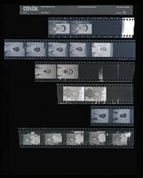 藏品(吳紹同135底片52)的圖片