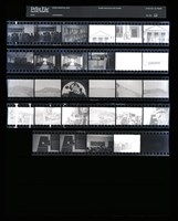 藏品(吳紹同135底片53)的圖片