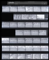 藏品(吳紹同135底片54)的圖片