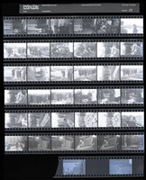 藏品(吳紹同135底片57)的圖片