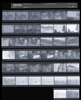 藏品(吳紹同135底片58)的圖片