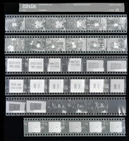 藏品(吳紹同135底片59)的圖片