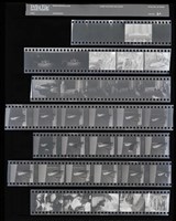 藏品(吳紹同135底片60)的圖片