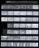 藏品(吳紹同135底片61)的圖片