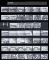 藏品(吳紹同135底片63)的圖片