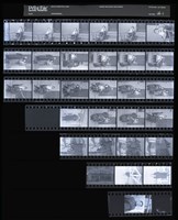 藏品(吳紹同135底片66)的圖片