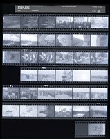 藏品(吳紹同135底片68)的圖片