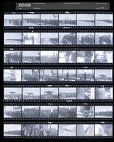 藏品(吳紹同135底片70)的圖片