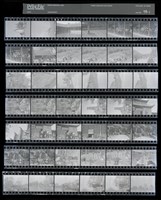 藏品(吳紹同135底片79)的圖片