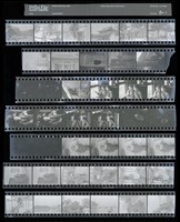 藏品(吳紹同135底片80)的圖片