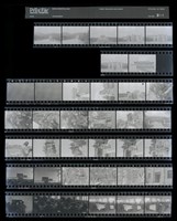 藏品(吳紹同135底片81)的圖片