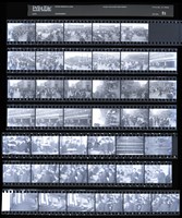 藏品(吳紹同135底片82)的圖片