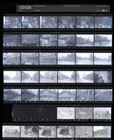 藏品(吳紹同135底片83)的圖片