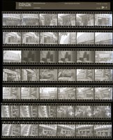 藏品(吳紹同135底片84)的圖片