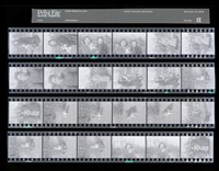 藏品(吳紹同135底片88)的圖片