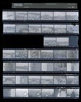 藏品(吳紹同135底片99)的圖片