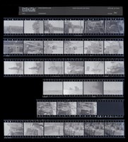藏品(吳紹同135底片101)的圖片