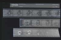 藏品(吳紹同135底片102)的圖片