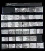 藏品(吳紹同135底片105)的圖片