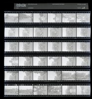 藏品(吳紹同135底片108)的圖片