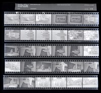 藏品(吳紹同135底片112)的圖片