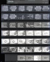 藏品(吳紹同135底片113)的圖片