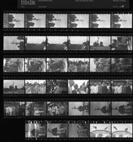 藏品(吳紹同135底片115)的圖片