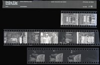 藏品(吳紹同135底片116)的圖片