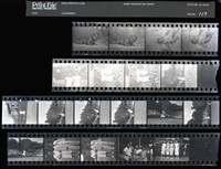 藏品(吳紹同135底片117)的圖片