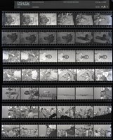 藏品(吳紹同135底片118)的圖片