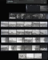 藏品(吳紹同135底片123)的圖片