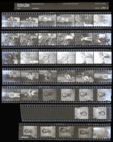 藏品(吳紹同135底片130)的圖片