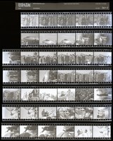 藏品(吳紹同135底片131)的圖片