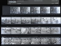 藏品(吳紹同135底片134)的圖片