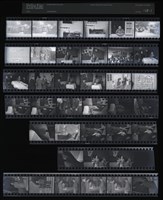 藏品(吳紹同135底片138)的圖片