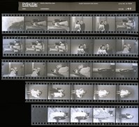 藏品(吳紹同135底片140)的圖片